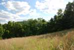 Rolling Springs Farm