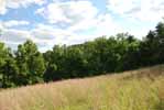 Rolling Springs Farm