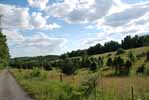 Rolling Springs Farm