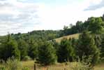 Rolling Springs Farm