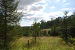 Rolling Springs Farm