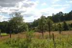 Rolling Springs Farm