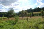 Rolling Springs Farm