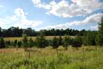 Rolling Springs Farm