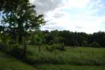 Rolling Springs Farm