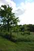 Rolling Springs Farm