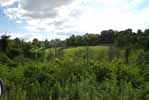 Rolling Springs Farm