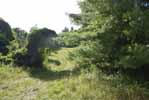 Rolling Springs Farm