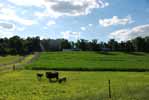 Rolling Springs Farm