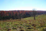 Rolling Springs Farm